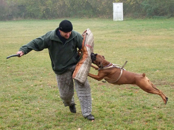 Ballantines ze Samoty Zátiší | Fotogalerie