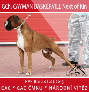 Ch. Cayman Baskervill Next of Kin