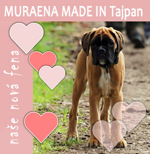 Muraena Made in Tajpan