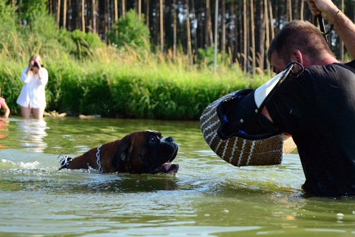 Apokalypsa z Terezínské pevnosti + Pralinka Černý onyx | Fotogalerie